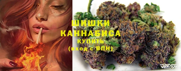хмурый Волоколамск