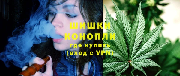 не бодяженный Богданович